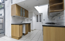 Dunmurry kitchen extension leads